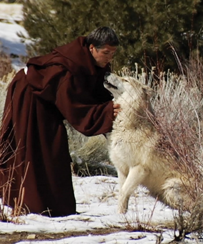 Saint Francis And The Wolf Of Gubbio Shop Donation Taming The Wolf Institute 0892