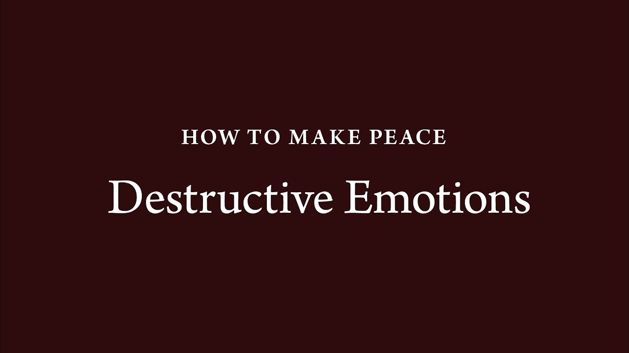 How to Make Peace (22): Destructive Emotions