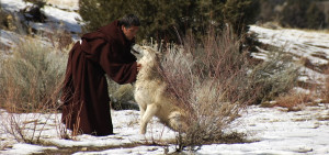 St. Francis Petting the Wolf